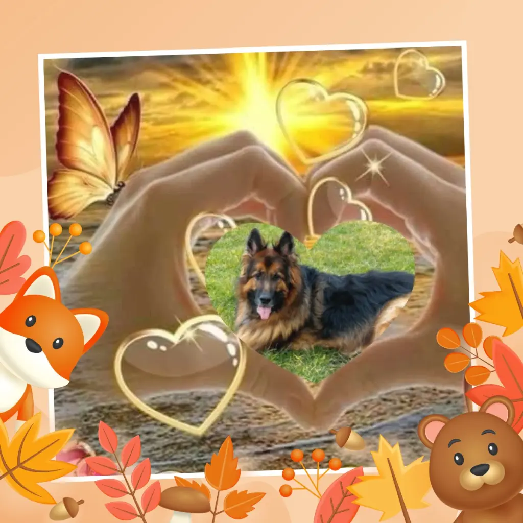 Condolence image of Dzień Dobry❤️❤️❤️mój Ukochany❤️❤️❤️❤️❤️❤️❤️Misieńku❤️❤️❤️
