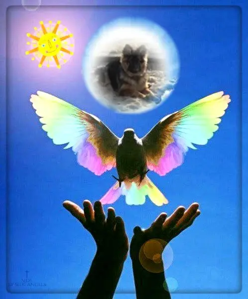 Condolence image of Dzień Dobry❤️❤️❤️mój Ukochany❤️❤️❤️❤️❤️❤️❤️Misieńku❤️❤️❤️