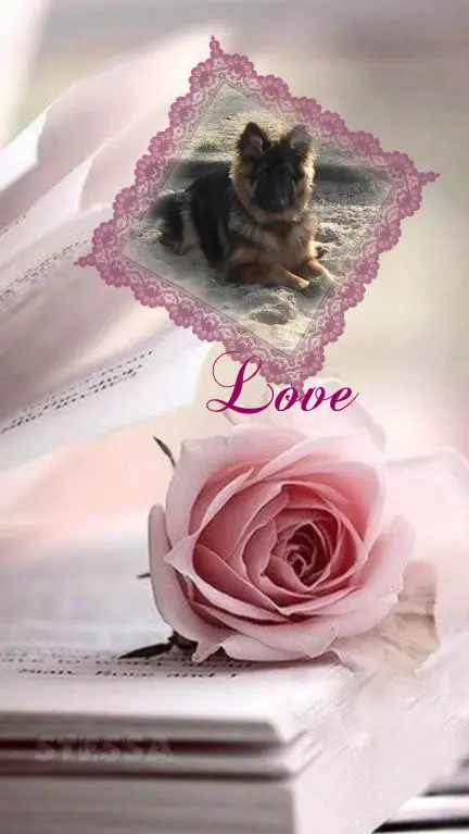 Condolence image of Dobry Wieczór❤️❤️❤️Mińku❤️❤️❤️