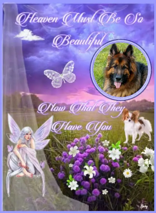 Condolence image of Dzień Dobry❤️❤️❤️mój Ukochany❤️❤️❤️❤️❤️❤️❤️Misieńku❤️❤️❤️