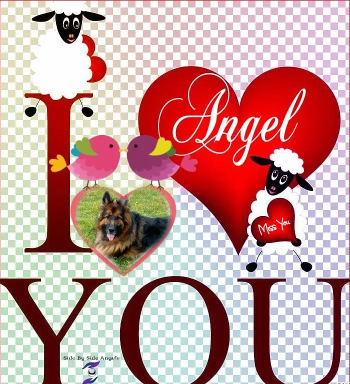 Condolence image of Kocham❤️❤️❤️❤️❤️❤️❤️Cię❤️❤️❤️⭐️Misieńku❤️❤️❤️⭐️