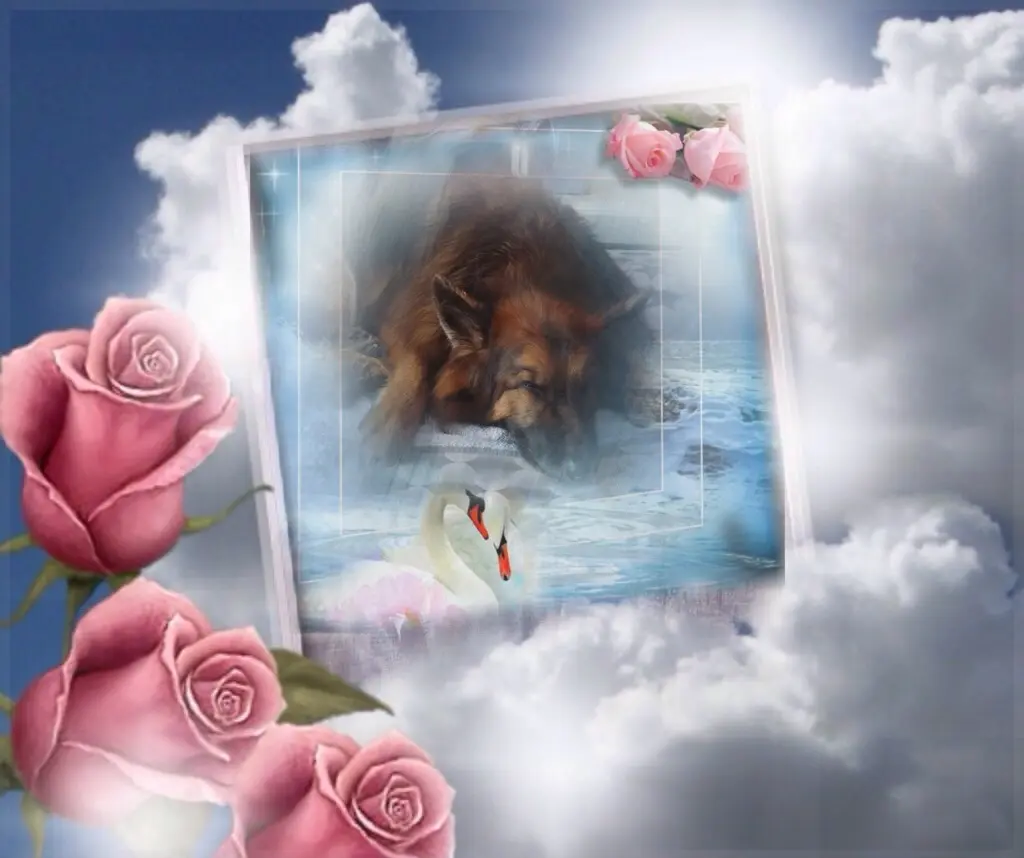 Condolence image of Dobrej Nocki❤️❤️❤️❤️❤️❤️mój Ukochany❤️❤️❤️❤️❤️❤️Misieńku❤️❤️❤️