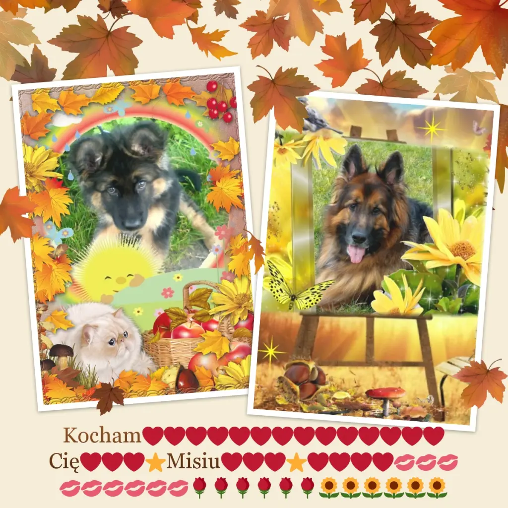 Condolence image of Dzień Dobry❤️❤️❤️mój Ukochany❤️❤️❤️❤️❤️❤️❤️Misieńku❤️❤️❤️