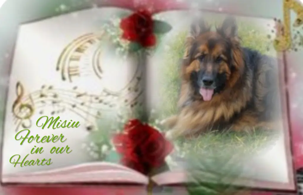 Condolence image of Niedziela...286 tygodni bez Ciebie kochany Misieńku❤️...