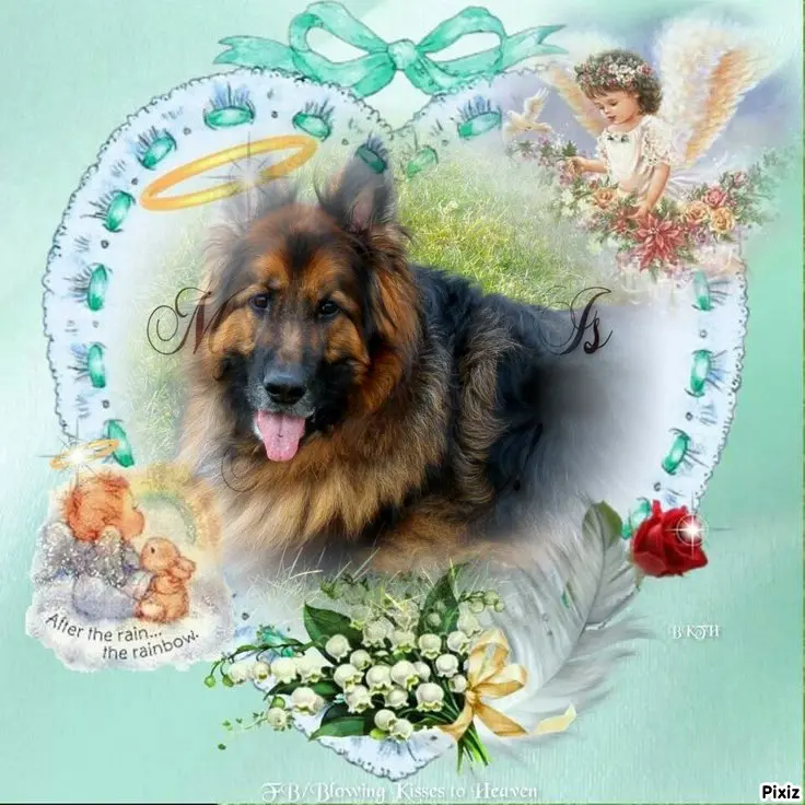 Condolence image of Dzień Dobry❤️❤️❤️mój Ukochany❤️❤️❤️❤️❤️❤️❤️Misieńku❤️❤️❤️