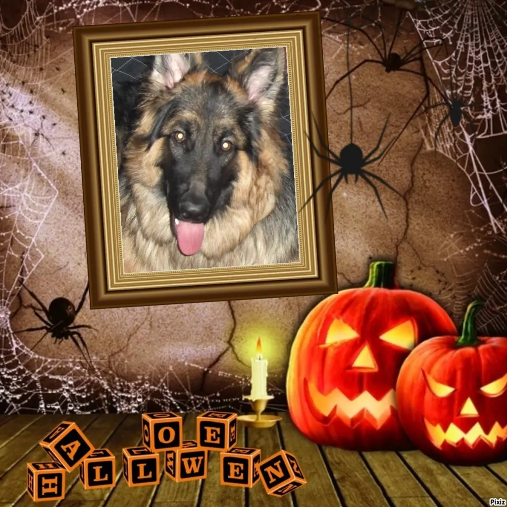 Condolence image of Happy Halloween