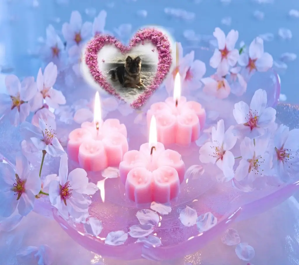 Condolence image of 1.Listopada❤❤❤