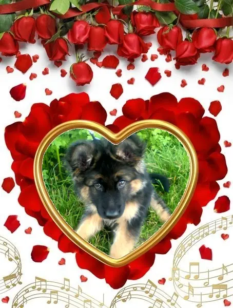 Condolence image of Dzień Dobry❤️❤️❤️mój Ukochany❤️❤️❤️❤️❤️❤️❤️Misieńku❤️❤️❤️