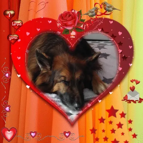 Condolence image of Dobrej Nocki❤️❤️❤️❤️❤️❤️mój Ukochany❤️❤️❤️❤️❤️❤️Misieńku❤️❤️❤️