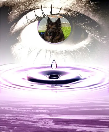 Condolence image of Dzień Dobry❤️❤️❤️mój Ukochany❤️❤️❤️❤️❤️❤️❤️Misieńku❤️❤️❤️