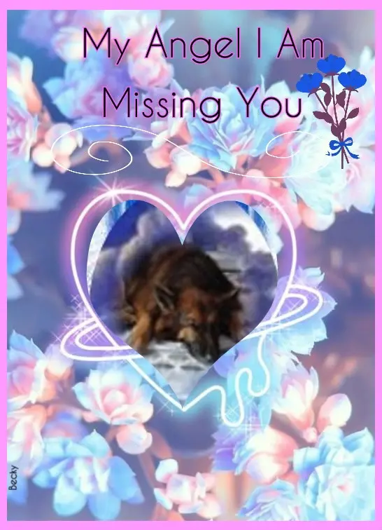 Condolence image of Dobrej Nocki❤️❤️❤️❤️❤️❤️mój Ukochany❤️❤️❤️❤️❤️❤️Misieńku❤️❤️❤️