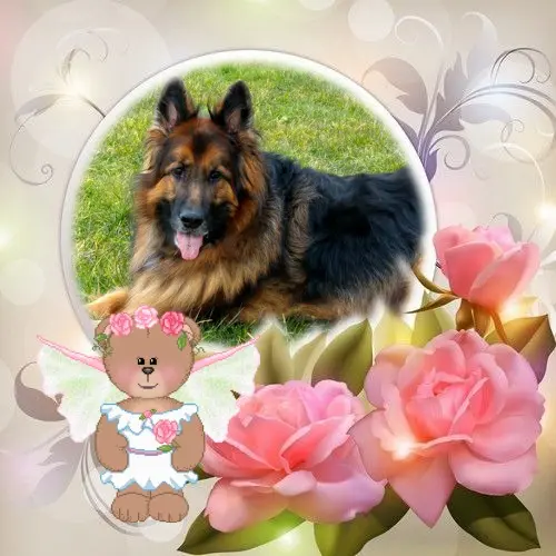 Condolence image of Kocham❤️❤️❤️❤️❤️❤️❤️❤️❤️❤️❤️❤️❤️❤️❤️❤️Cię❤️❤️❤️
