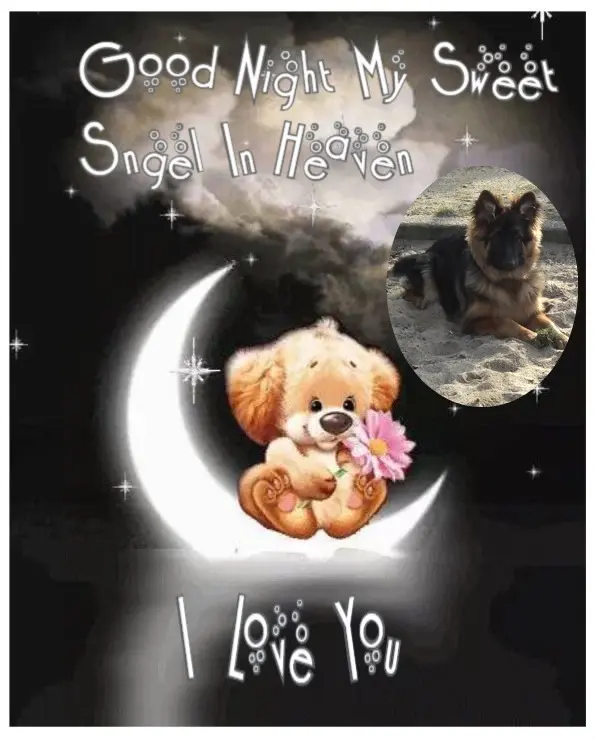 Condolence image of Dobrej Nocki❤️❤️❤️Misieńku❤️❤️❤️⭐️