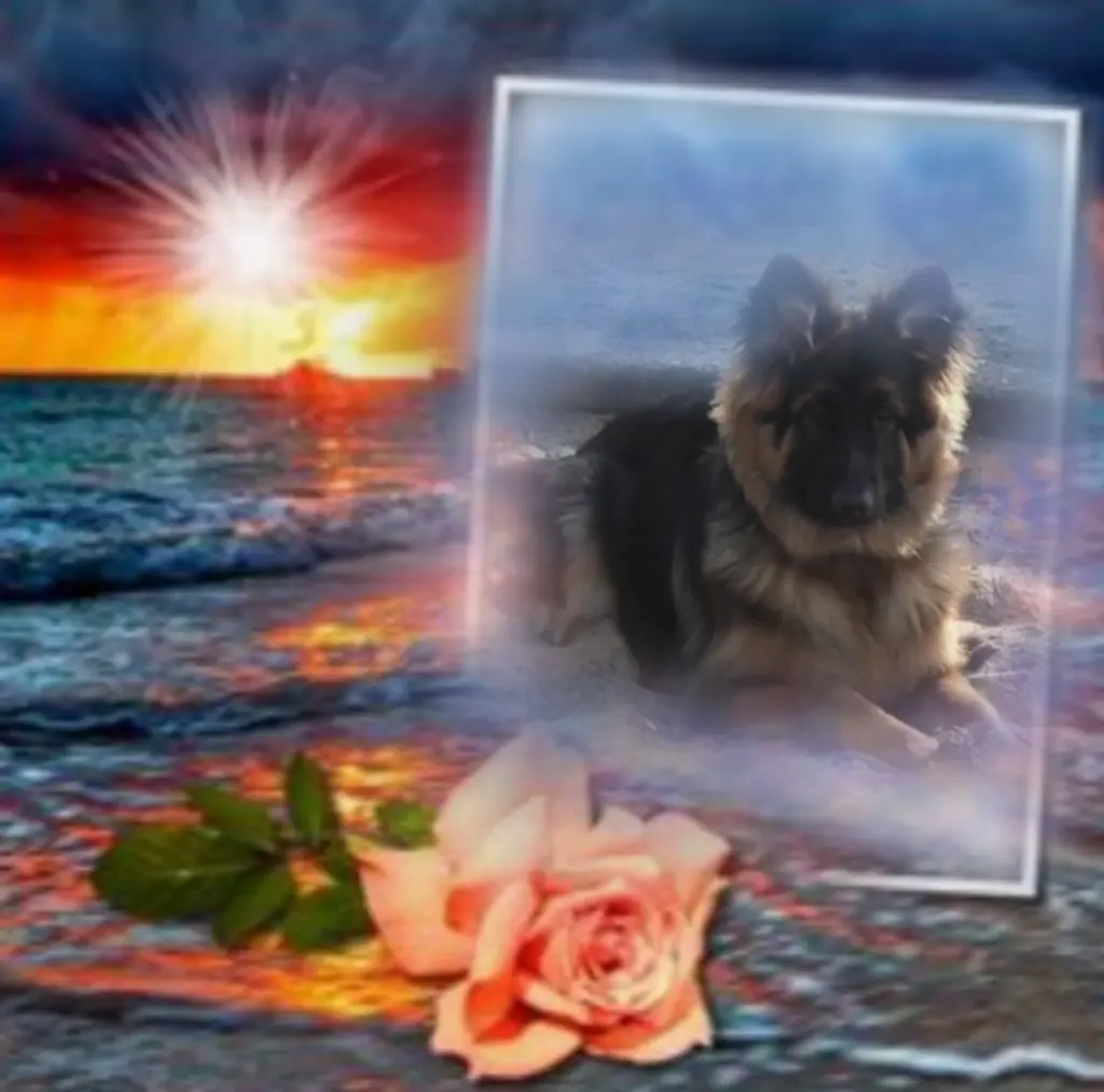 Condolence image of Niedziela...288 tygodni bez Ciebie kochany Misieńku❤️...