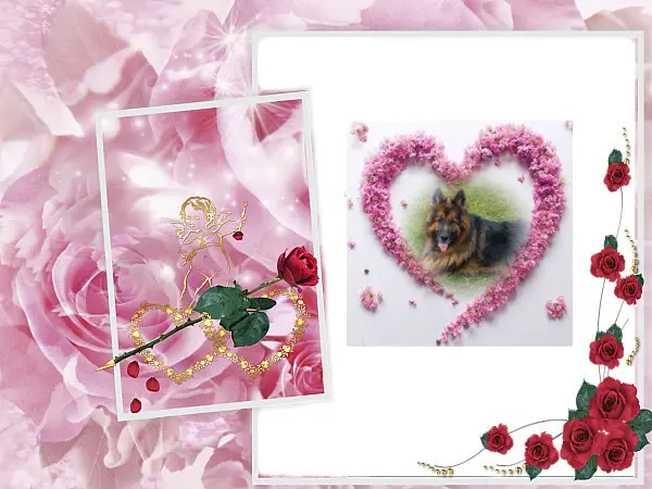 Condolence image of Dzień Dobry❤️❤️❤️mój Ukochany❤️❤️❤️❤️❤️❤️❤️Misieńku❤️❤️❤️