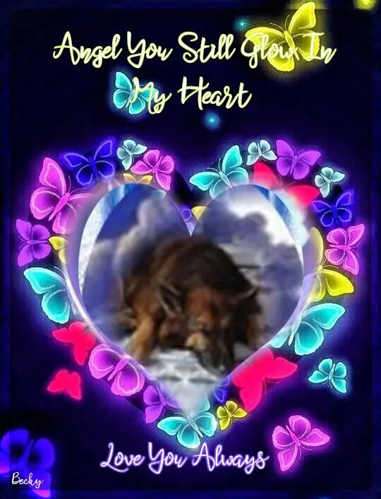Condolence image of Dobrej Nocki❤️❤️❤️❤️❤️❤️mój Ukochany❤️❤️❤️❤️❤️❤️Misieńku❤️❤️❤️