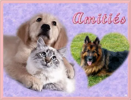 Condolence image of Dzień Dobry❤️❤️❤️mój Ukochany❤️❤️❤️❤️❤️❤️❤️Misieńku❤️❤️❤️