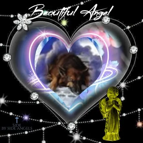 Condolence image of Dobrej Nocki❤️❤️❤️❤️❤️❤️mój Ukochany❤️❤️❤️❤️❤️❤️Misieńku❤️❤️❤️