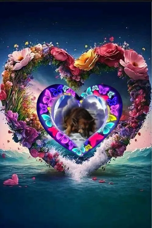 Condolence image of Dobrej Nocki❤️❤️❤️❤️❤️❤️mój Ukochany❤️❤️❤️❤️❤️❤️Misieńku❤️❤️❤️