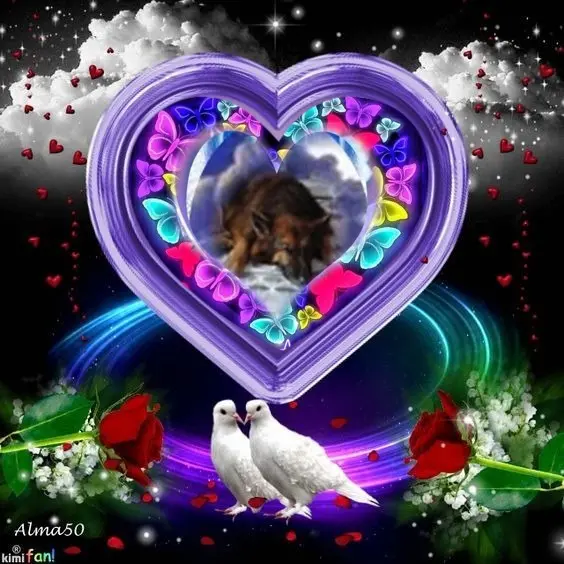Condolence image of Dobrej Nocki❤️❤️❤️❤️❤️❤️mój Ukochany❤️❤️❤️❤️❤️❤️Misieńku❤️❤️❤️