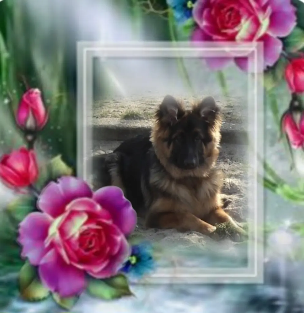 Condolence image of Niedziela...289 tygodni bez Ciebie kochany Misieńku❤️...