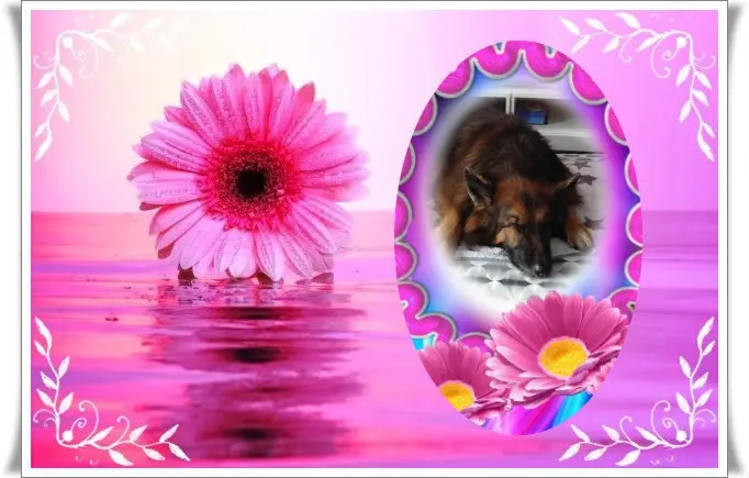 Condolence image of Dobrej Nocki❤️❤️❤️❤️❤️❤️mój Ukochany❤️❤️❤️❤️❤️❤️Misieńku❤️❤️❤️