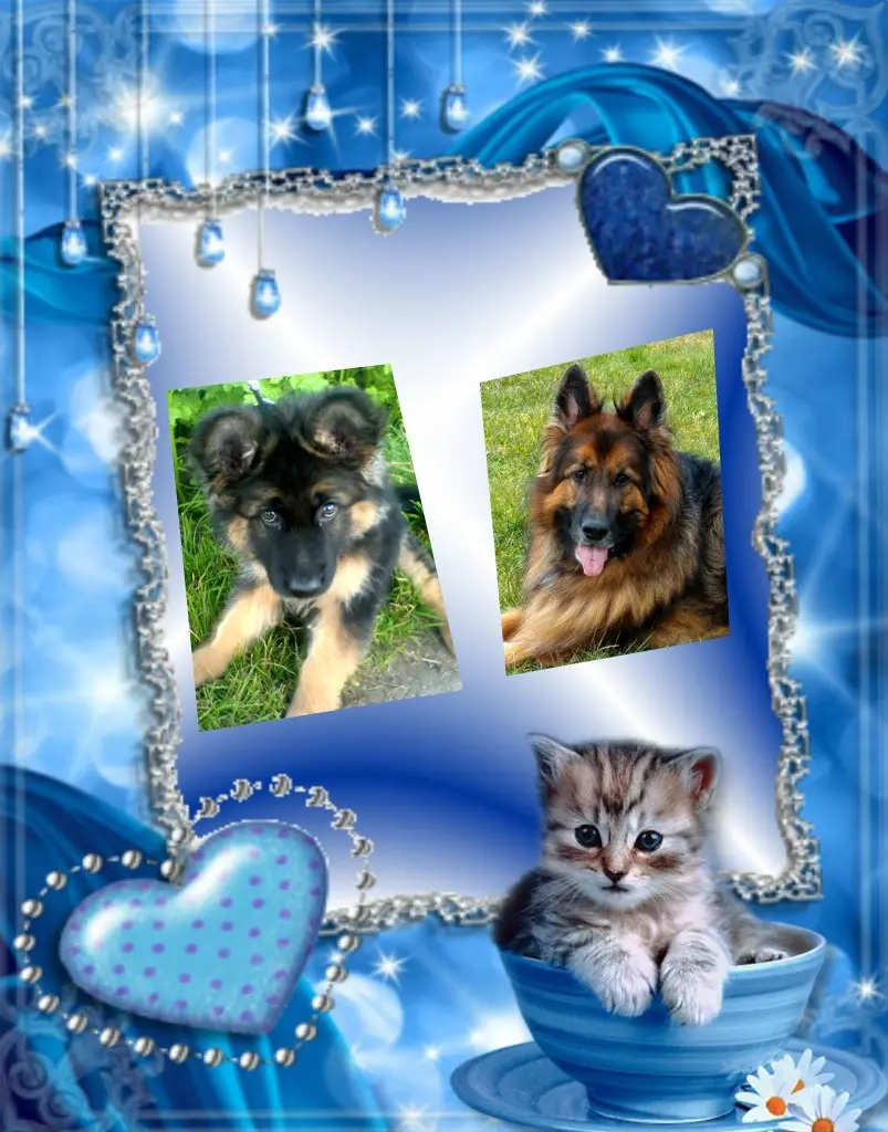 Condolence image of Dzień Dobry❤️❤️❤️mój Ukochany❤️❤️❤️❤️❤️❤️❤️Misieńku❤️❤️❤️