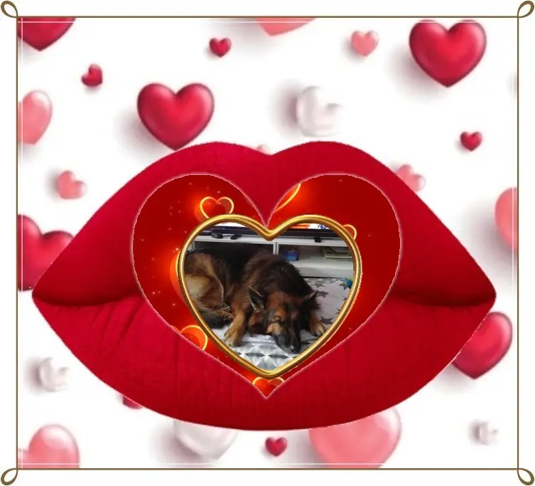Condolence image of Dobrej Nocki❤️❤️❤️❤️❤️❤️mój Ukochany❤️❤️❤️❤️❤️❤️Misieńku❤️❤️❤️