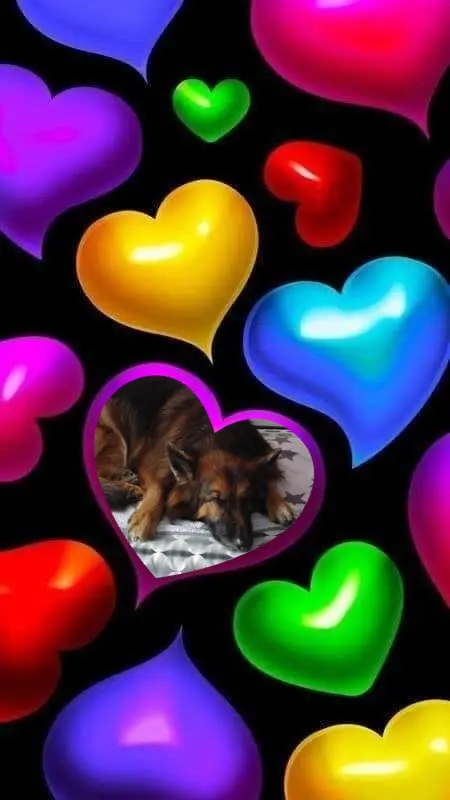 Condolence image of Dobrej Nocki❤️❤️❤️❤️❤️❤️mój Ukochany❤️❤️❤️❤️❤️❤️Misieńku❤️❤️❤️