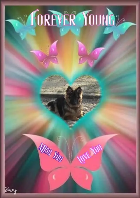 Condolence image of Dzień Dobry❤️❤️❤️mój Ukochany❤️❤️❤️❤️❤️❤️❤️Misieńku❤️❤️❤️