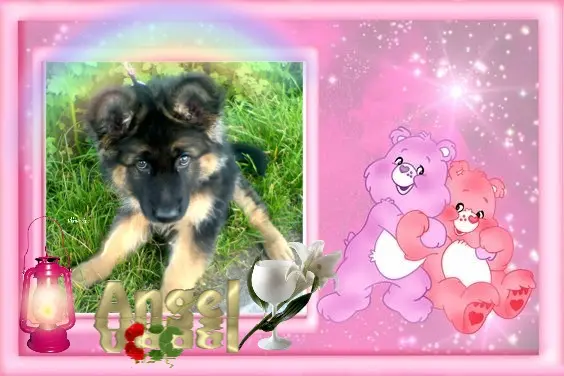 Condolence image of Dobry Wieczór❤️❤️❤️Mińku❤️❤️❤️