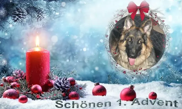 Condolence image of Dzień Dobry❤️❤️❤️mój Ukochany❤️❤️❤️❤️❤️❤️❤️Misieńku❤️❤️❤️