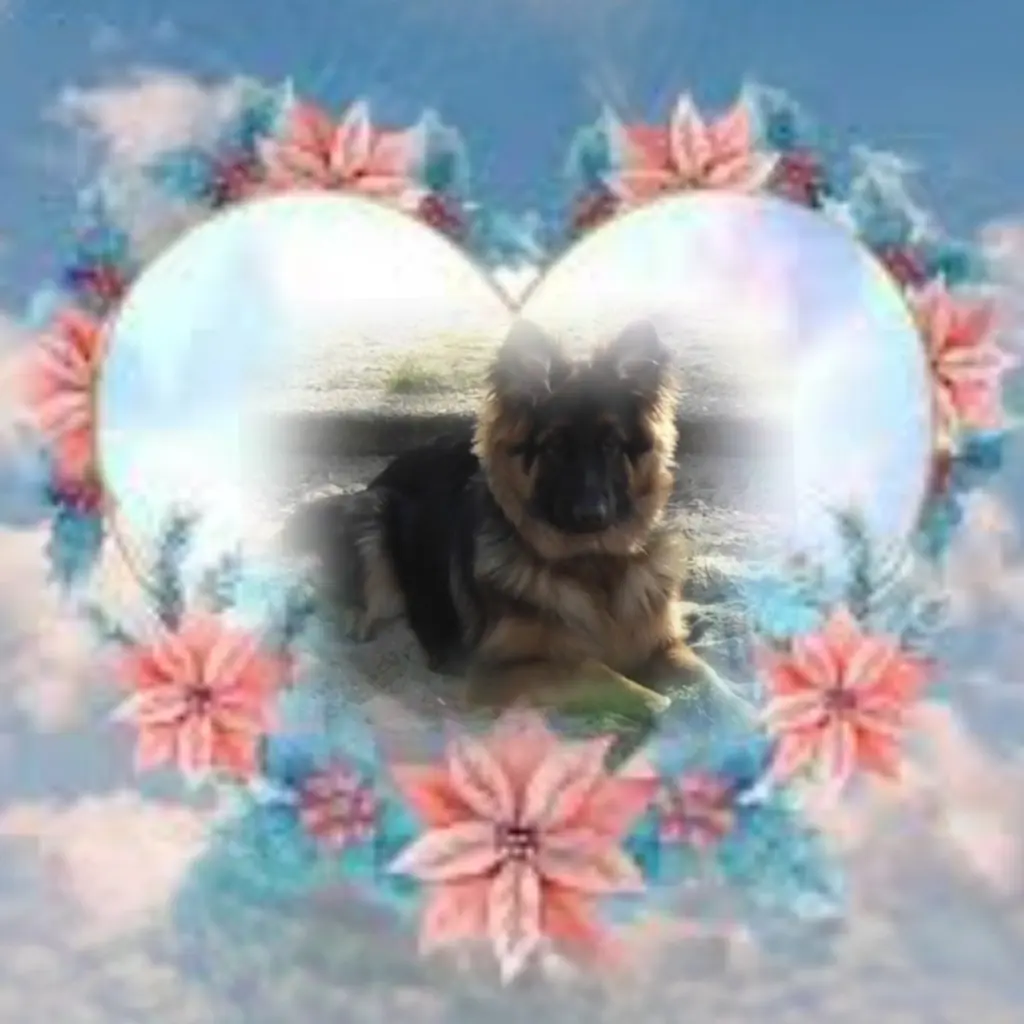 Condolence image of Niedziela...291 tygodni bez Ciebie❤️ kochany Misieńku❤️...