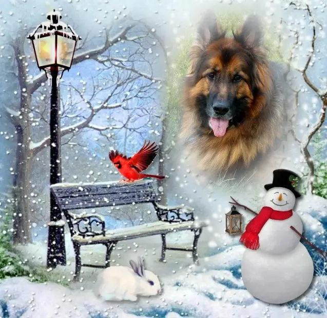 Condolence image of Dobry Wieczór❤️❤️❤️Mińku❤️❤️❤️