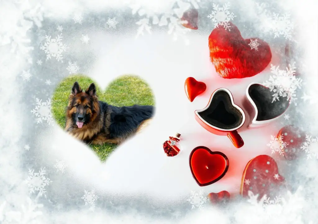 Condolence image of Dzień Dobry❤️❤️❤️mój Ukochany❤️❤️❤️❤️❤️❤️❤️Misieńku❤️❤️❤️