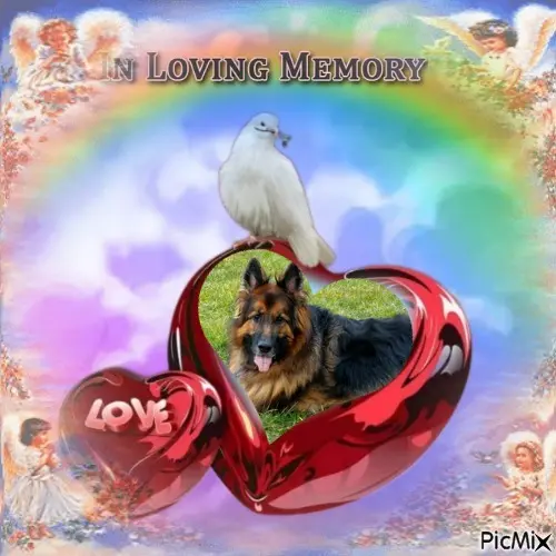 Condolence image of Dzień Dobry❤️❤️❤️mój Ukochany❤️❤️❤️❤️❤️❤️❤️Misieńku❤️❤️❤️