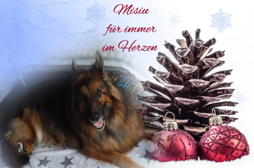 Condolence image of Immer im Herzen ❤️
