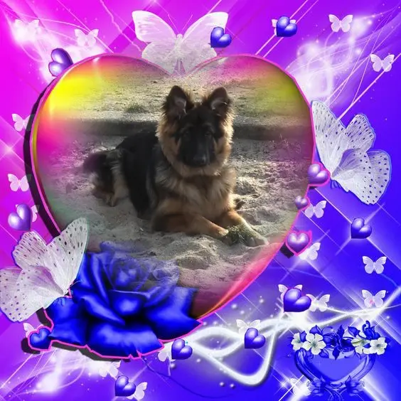 Condolence image of Dzień Dobry❤️❤️❤️mój Ukochany❤️❤️❤️❤️❤️❤️❤️Misieńku❤️❤️❤️