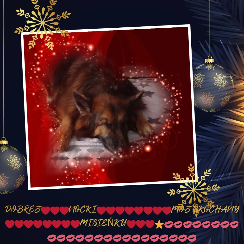 Condolence image of Dobrej Nocki❤️❤️❤️❤️❤️❤️mój Ukochany❤️❤️❤️❤️❤️❤️Misieńku❤️❤️❤️