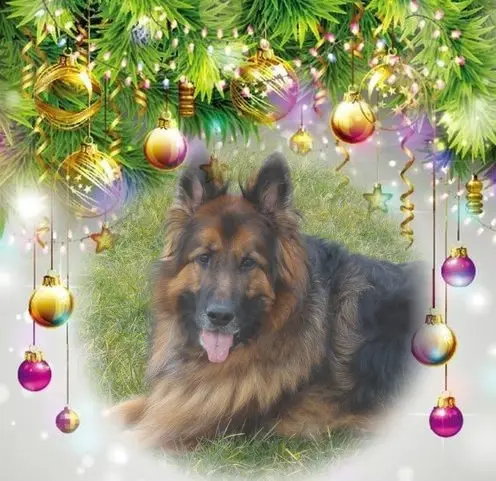 Condolence image of Dzień Dobry❤️❤️❤️mój Ukochany❤️❤️❤️❤️❤️❤️❤️Misieńku❤️❤️❤️
