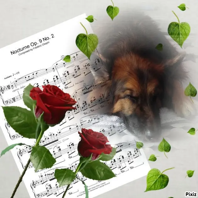 Condolence image of Dobrej Nocki❤️❤️❤️❤️❤️❤️mój Ukochany❤️❤️❤️❤️❤️❤️Misieńku❤️❤️❤️