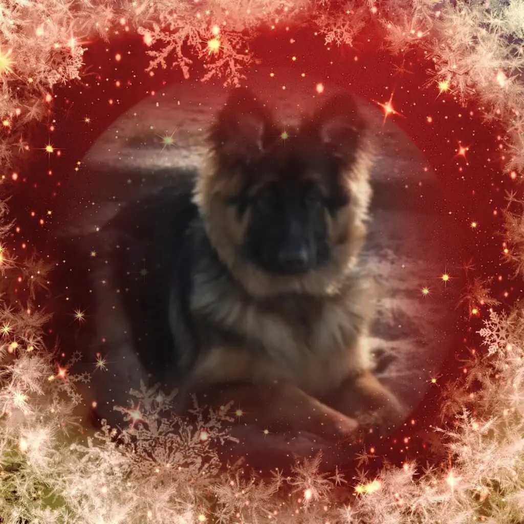 Condolence image of Niedziela...293 tygodnie bez Ciebie❤️ kochany Misieńku❤️...