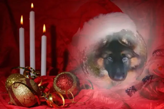 Condolence image of Dzień Dobry❤️❤️❤️mój Ukochany❤️❤️❤️❤️❤️❤️❤️Misieńku❤️❤️❤️