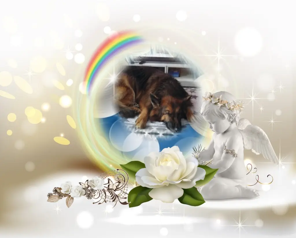 Condolence image of Dobrej Nocki❤️❤️❤️❤️❤️❤️mój Ukochany❤️❤️❤️❤️❤️❤️Misieńku❤️❤️❤️