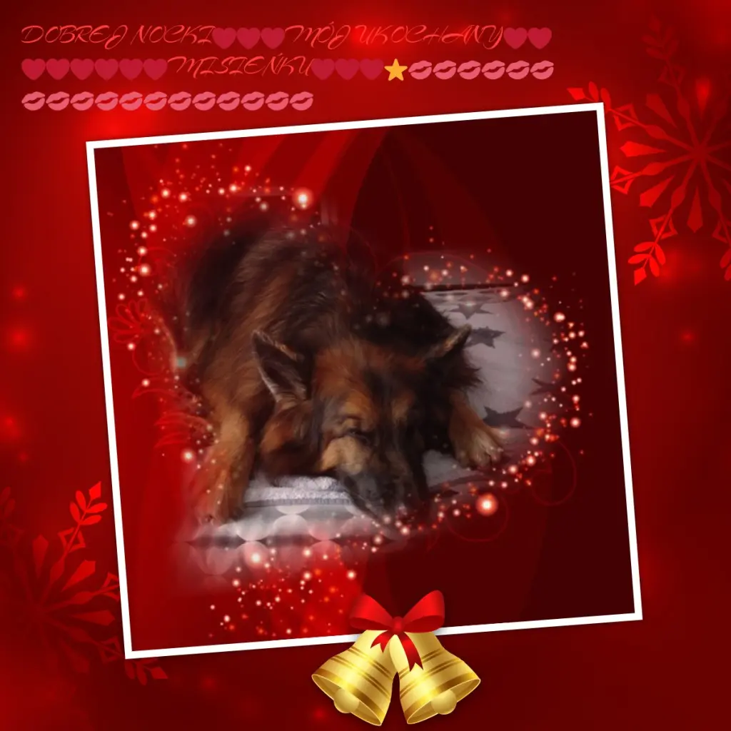 Condolence image of Dobrej Nocki❤️❤️❤️❤️❤️❤️mój Ukochany❤️❤️❤️❤️❤️❤️Misieńku❤️❤️❤️