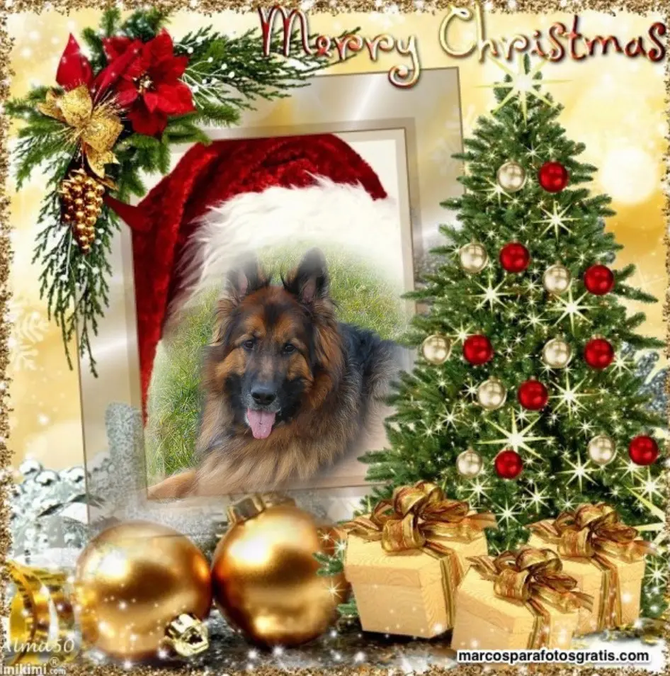 Condolence image of Dzień Dobry❤️❤️❤️mój Ukochany❤️❤️❤️❤️❤️❤️❤️Misieńku❤️❤️❤️