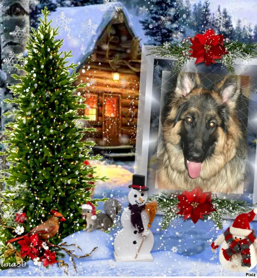 Condolence image of Tanja mit Timmy im Herzen