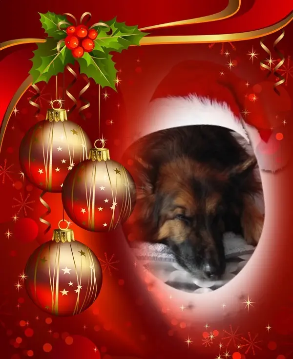 Condolence image of Dobrej Nocki❤️❤️❤️❤️❤️❤️mój Ukochany❤️❤️❤️❤️❤️❤️Misieńku❤️❤️❤️