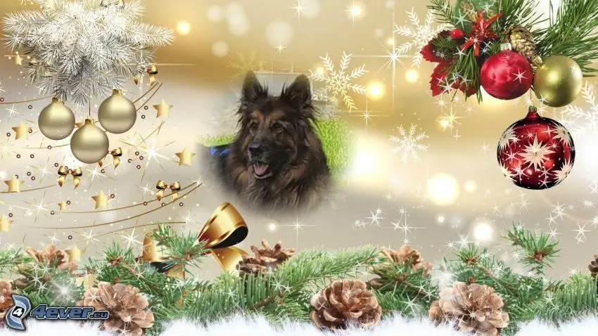Condolence image of Dzień Dobry❤️❤️❤️mój Ukochany❤️❤️❤️❤️❤️❤️❤️Misieńku❤️❤️❤️