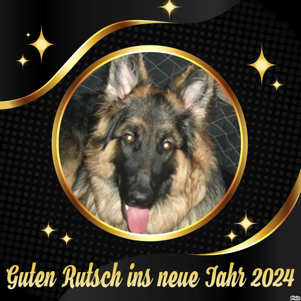 Condolence image of Tanja mit Timmy im Herzen 